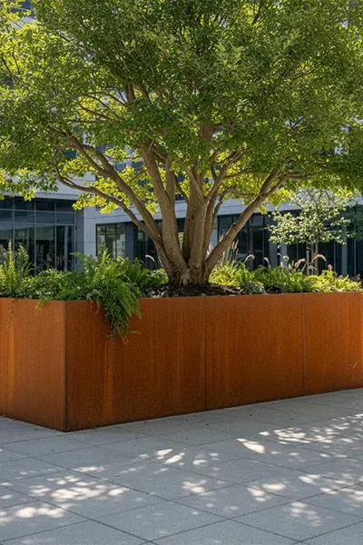 Large rectangular corten steel tree planter box for public street