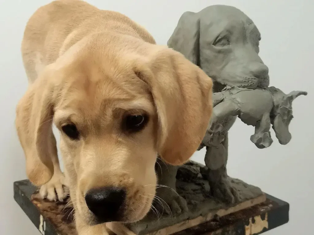 Real Labrador puppy standing next to its 1:1 clay sculpture prototype, showing the high likeness and custom detail achieved by Yun Sculpture.