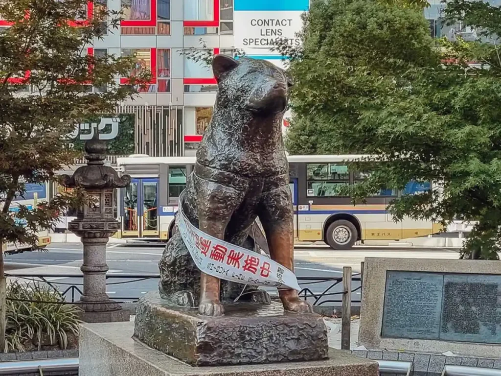 The iconic weather-resistant bronze Hachiko dog statue at Shibuya Station in Tokyo, serving as a public focal point and a lasting tribute to loyalty.