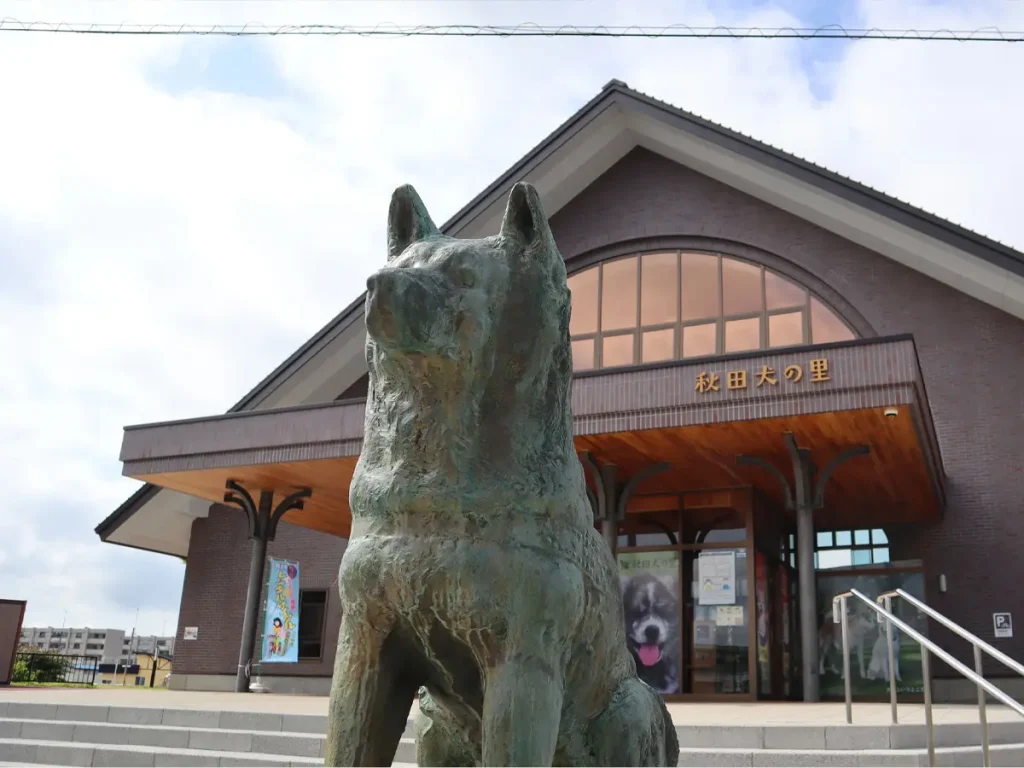A life size solid bronze statue of Hachiko located at Odate Station in Akita Prefecture, honoring the birthplace of the famous loyal dog.