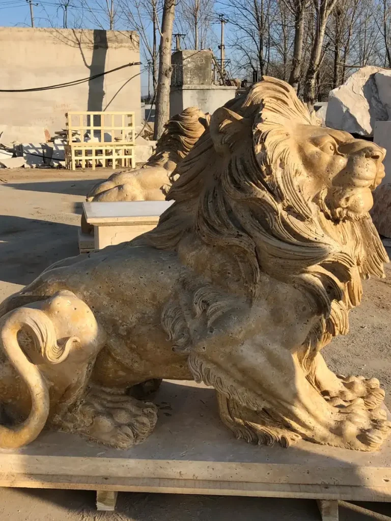 Side profile of a majestic reclining lion statue made of antique yellow marble. This classical realism sculpture beautifully displays natural muscle transitions along the back and shoulder tension, with its tail elegantly curled around its hind leg under bright sunlight.