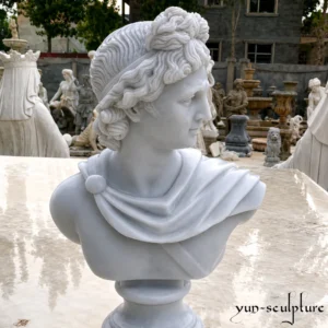 A hand-carved natural white marble bust of Apollo, following the iconic Belvedere type with elaborately curled hair and an idealized youthful expression. This classical sculpture represents harmonious perfection and ordered intelligence, making it a sophisticated focal point for private libraries, music rooms, or spa terraces as described in our guide.
