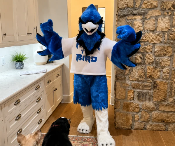 Bluebird mascot costume used as a reference for the custom bronze sculpture project in Little Rock, Arkansas.